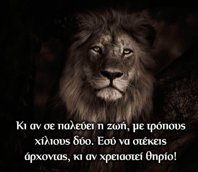 Lion_Lord-Beast.jpg